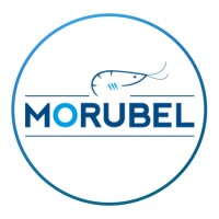 Morubel N.V. Logo