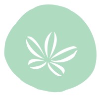 The Coast Concepts Logo