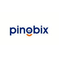 Pingbix Logo