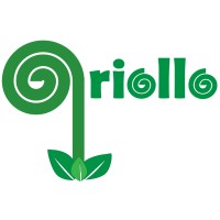 qriollo Logo