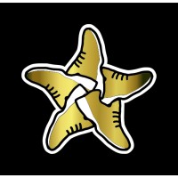 Running Stars Healthy Living Ltd Logo