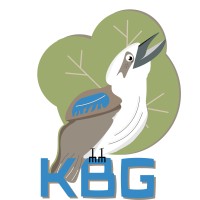 Kookaburra Business Group Logo