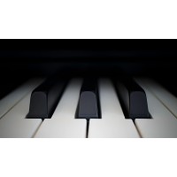 Piano Lessons Info Logo
