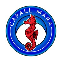 Capall Mara - Franchise Business Coach Logo