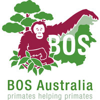 Borneo Orangutan Survival (BOS) Australia Logo