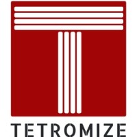 Tetromize I/S Logo