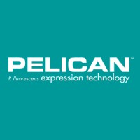 Pelican Expression Technology Logo