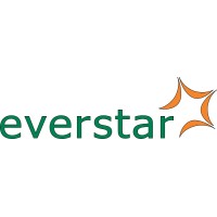 Everstar Engineering & Services Logo