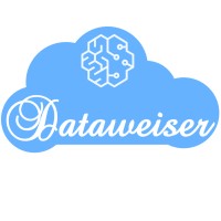 Dataweiser Logo