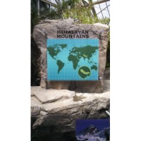 Cross Cultural Communications, LLC Logo