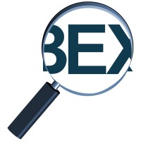 BEX Analytics Logo