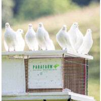 Parafarm Logo