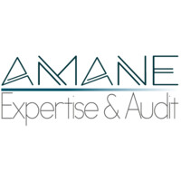 AMANE EXPERTISE & AUDIT SAS Logo