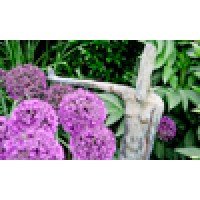 Janet Bligh Garden Designs Logo