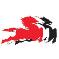 Stallion HR Solutions Logo