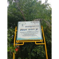 Kalpana Nursery Logo