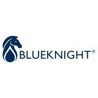 Blueknight™ Logo
