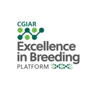 CGIAR Excellence in Breeding Logo