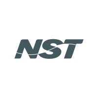 NST E-Business Logo