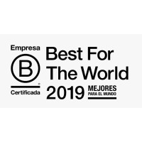 Salommon Ideas Buenas Logo