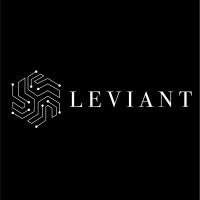 Leviant - Design Experience Logo