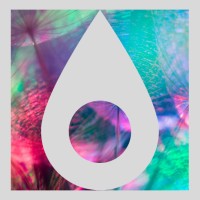 Organic Change GmbH Logo