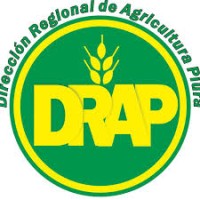 Dirección Regional de Agricultura - Piura Logo