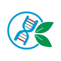 Mikicki Medical Logo