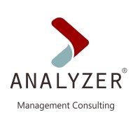 Analyzer Management Consulting Logo