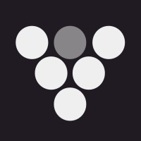 The Medici Project Logo