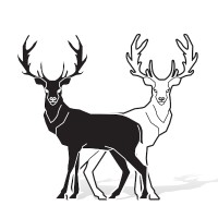 Buckthorn Consulting, LLC Logo