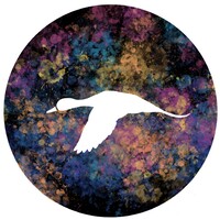 Pintail Graphics Logo