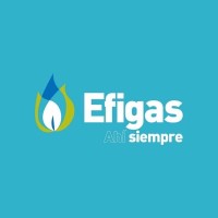 EFIGAS Logo