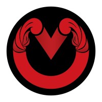 Vidya Media Logo