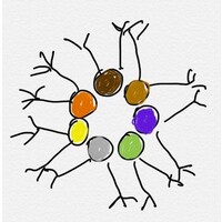 HRNeuro Logo