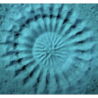 747 With A Toothbrush Logo