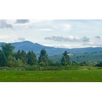 Ginger and Oak Company LLC Logo