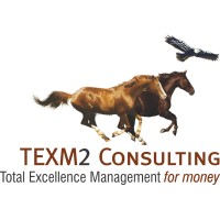 TExM2 Consulting Logo