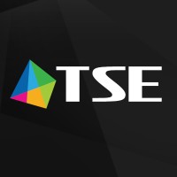 TSE Grupa Sp. z o.o Logo