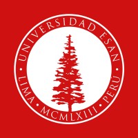 ESAN VDI - Vicerrectorado de Investigación Logo