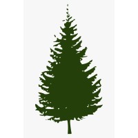 Lone Pine Consulting LLC Logo