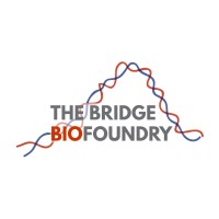 The Bridge Biofoundry Logo