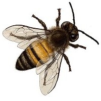 Garriott Industries Logo