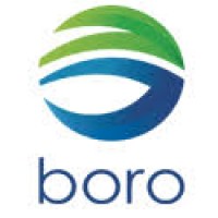 Corporativo Boro Logo
