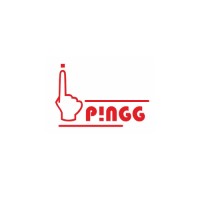 Pingg Logo