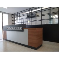 Villefort Consulting Logo