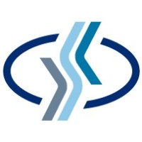 ДСК Групп Logo