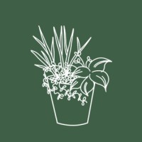Finding Roots Logo