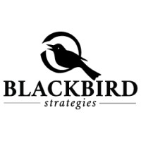 Blackbird Strategies Logo
