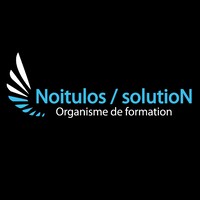 NOITULOS / SOLUTION Logo
